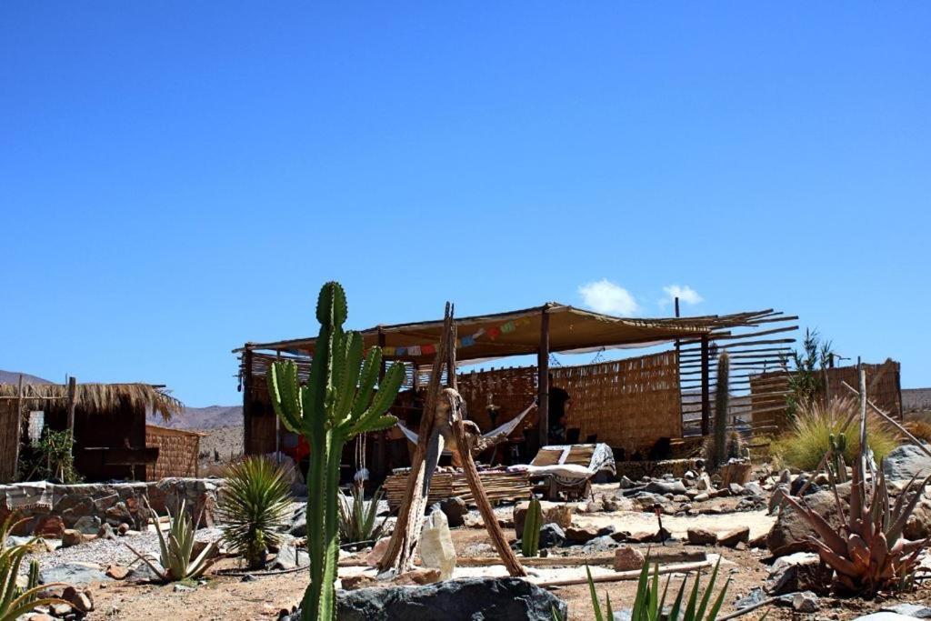 Campo De Cielo Mamalluca Valle De Elqui Vicuña Exterior foto