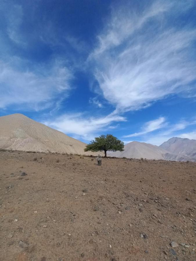 Campo De Cielo Mamalluca Valle De Elqui Vicuña Exterior foto